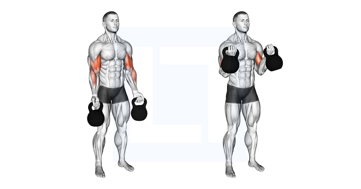 Kettlebell Biceps Curl