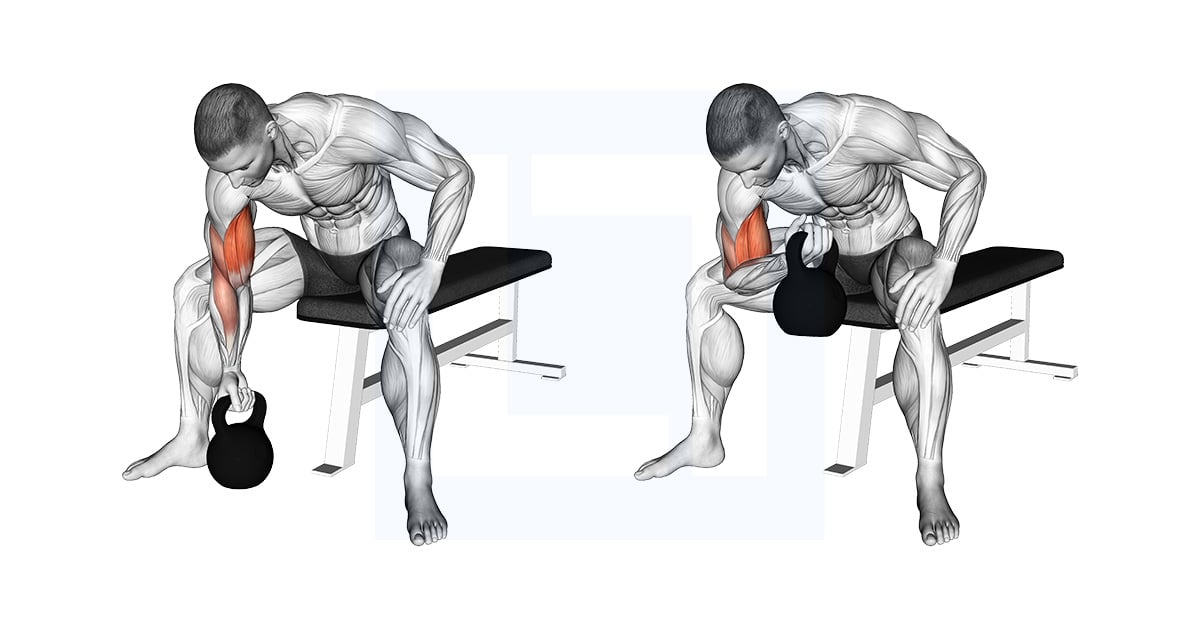 Kettlebell Concentration Curl