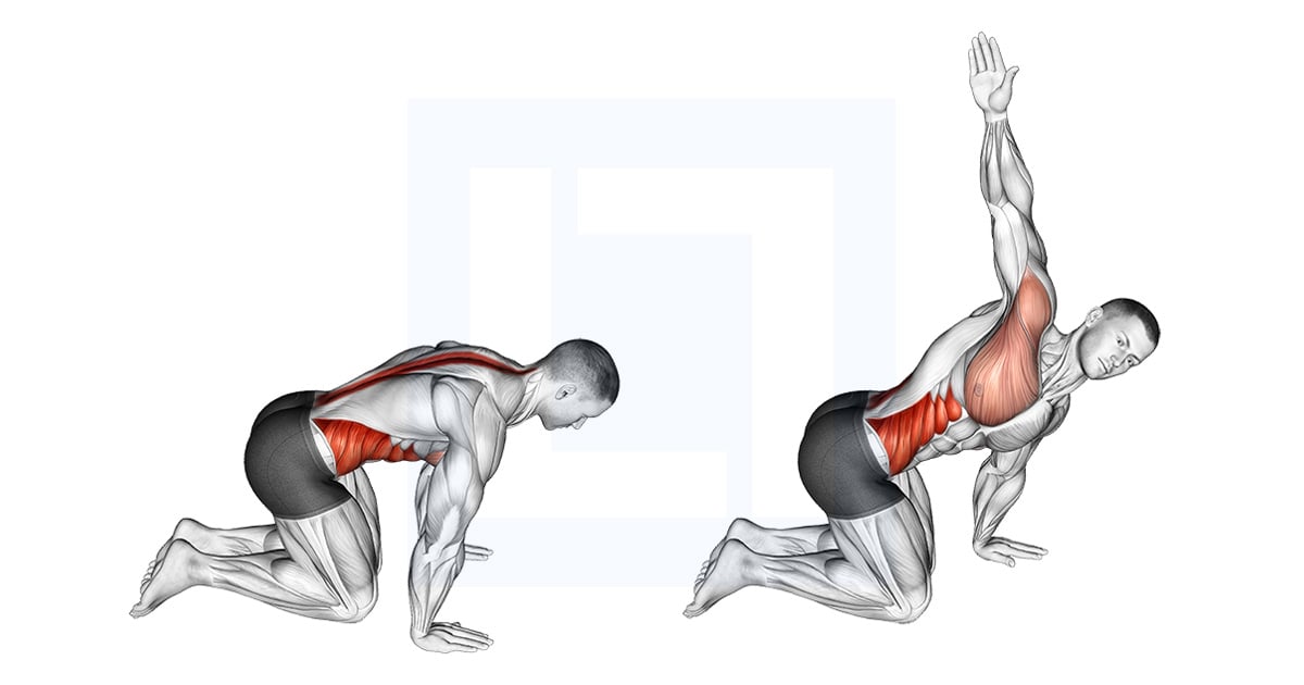 Kneeling Back Rotation Stretch