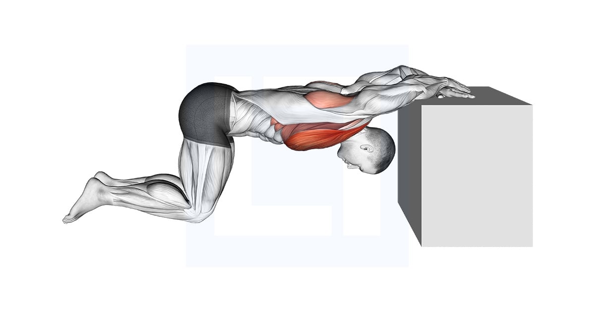 Kneeling Chest Stretch