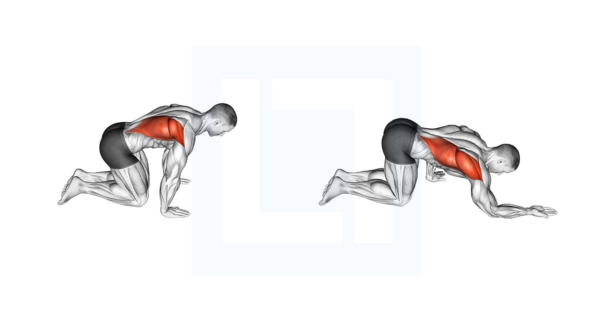 Kneeling Lat Stretch