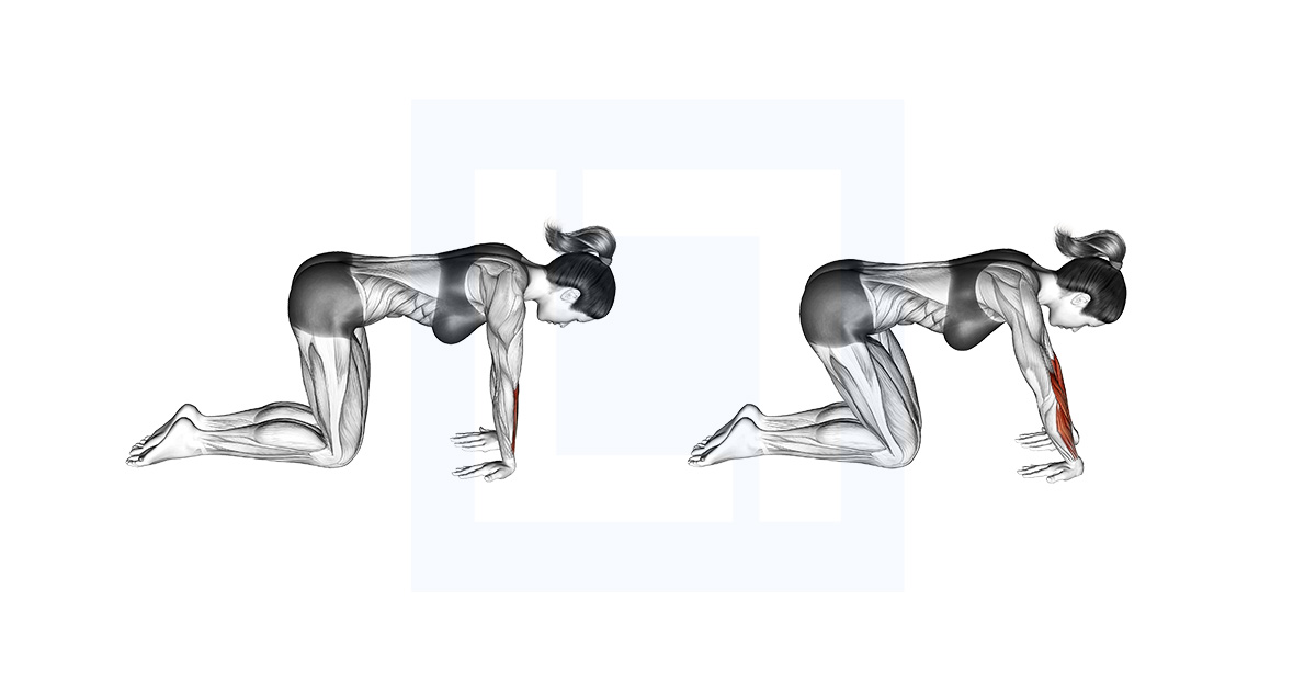 Kneeling Wrist Flexor Stretch