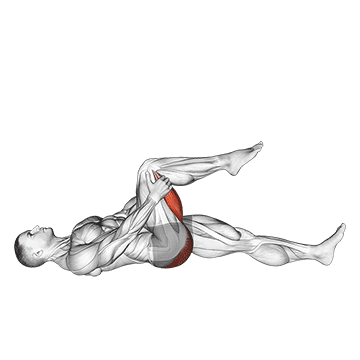 Leg Up Hamstring Étirement