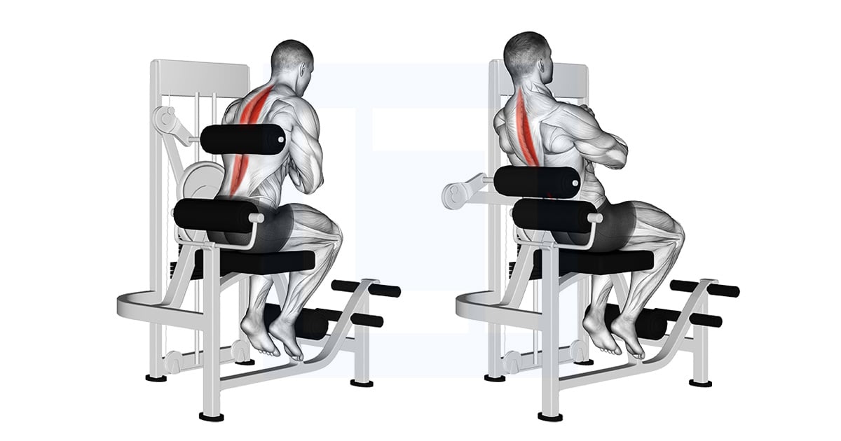 Lever Back Extension