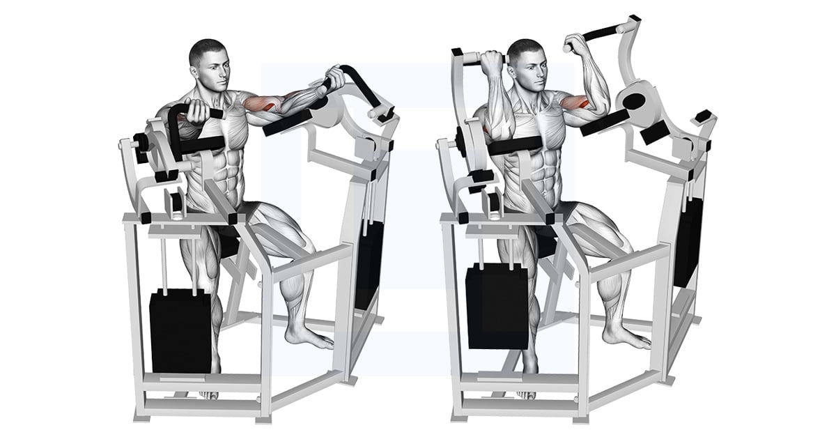 Curl biceps machine