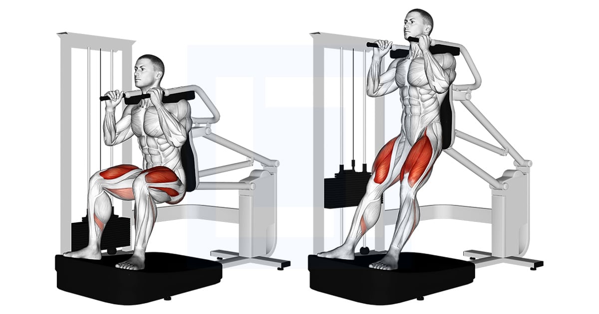 Machine Squat sur chaise