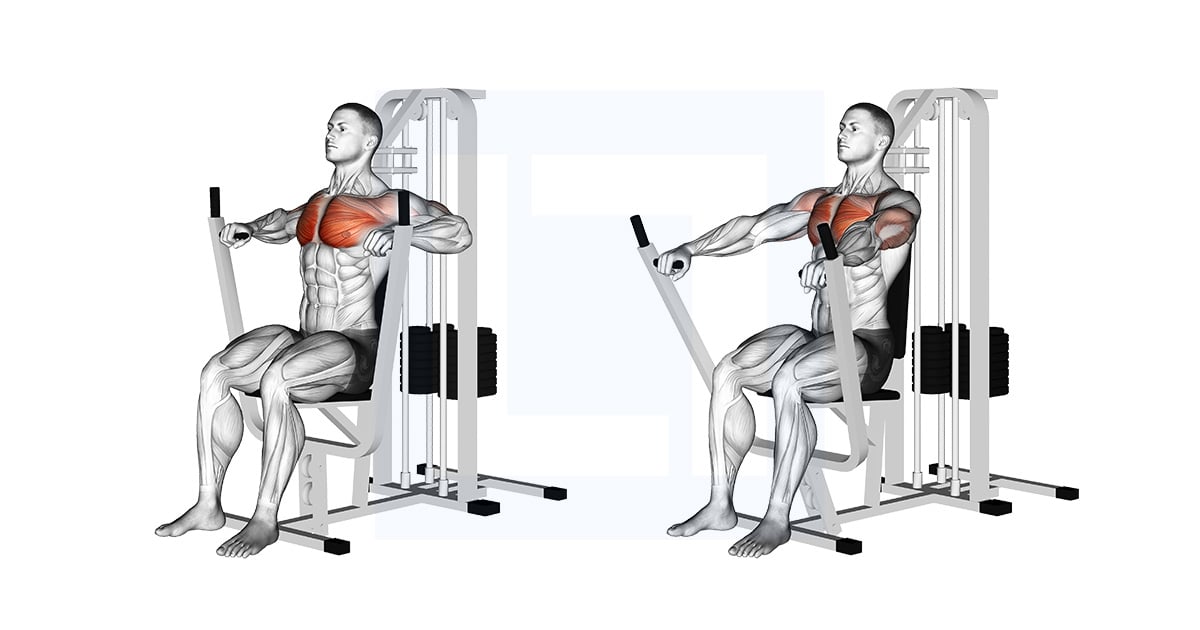 Lever Chest Développé