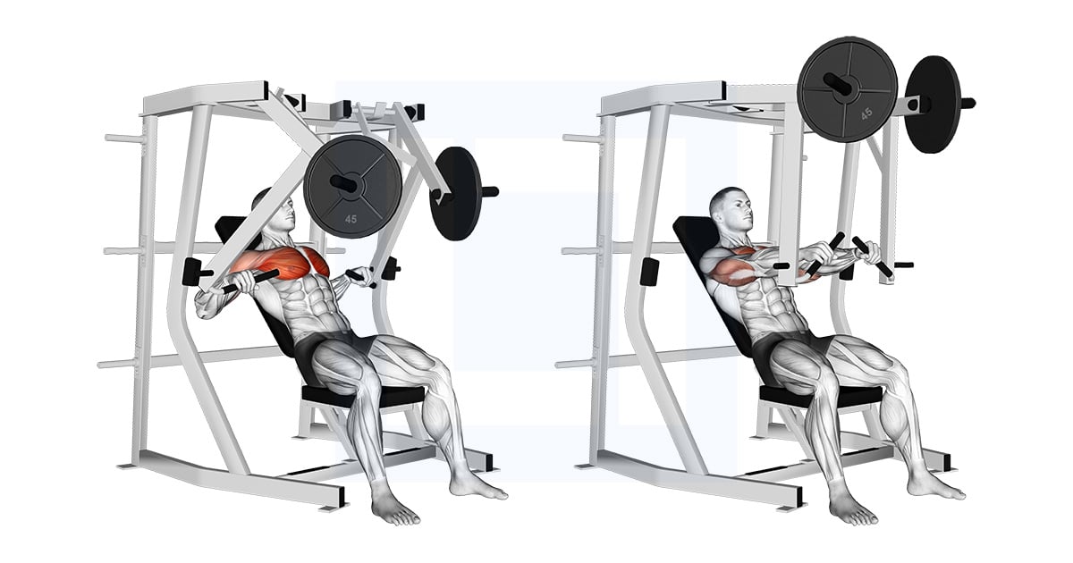Lever Decline Chest Développé