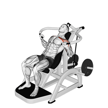 Lever Incline Chest Développé
