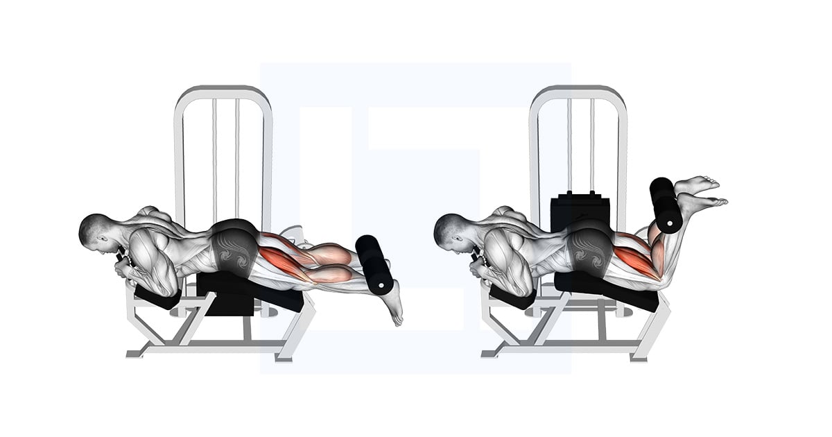 Machine Leg curl allongé