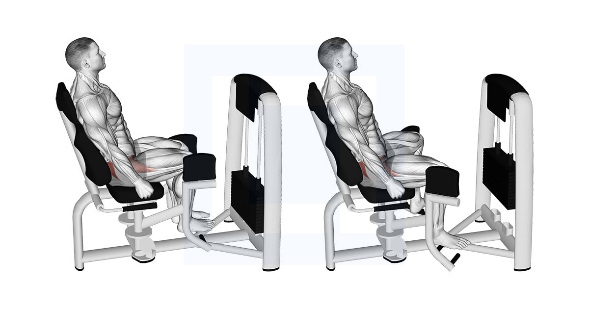 Lever Assis Hip Abduction