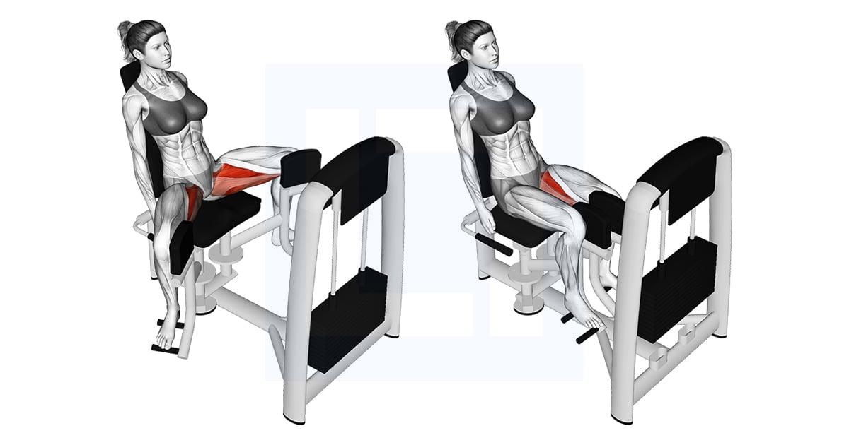 Lever Assis Hip Adduction