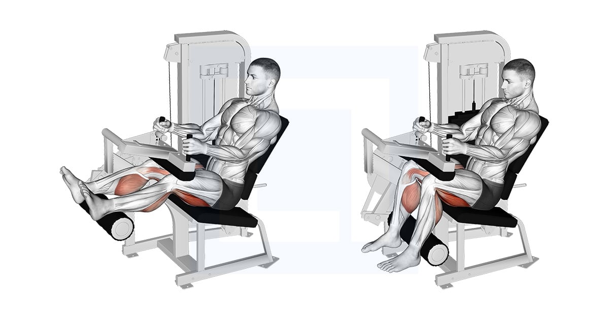 Machine Leg curl assis
