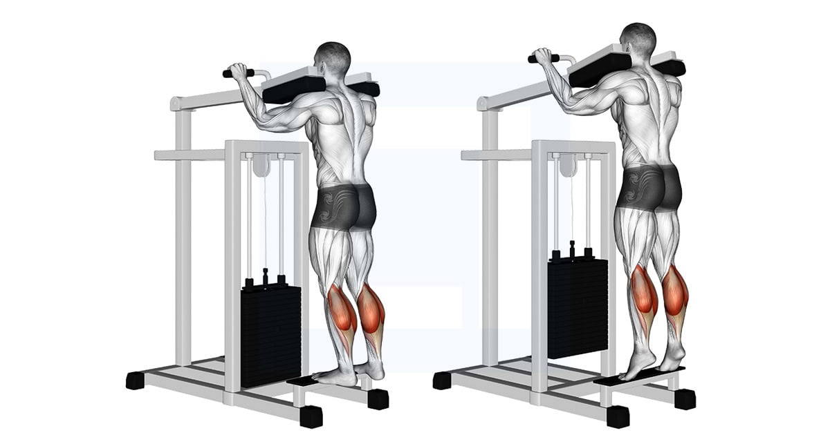 Machine Debout Extension mollets