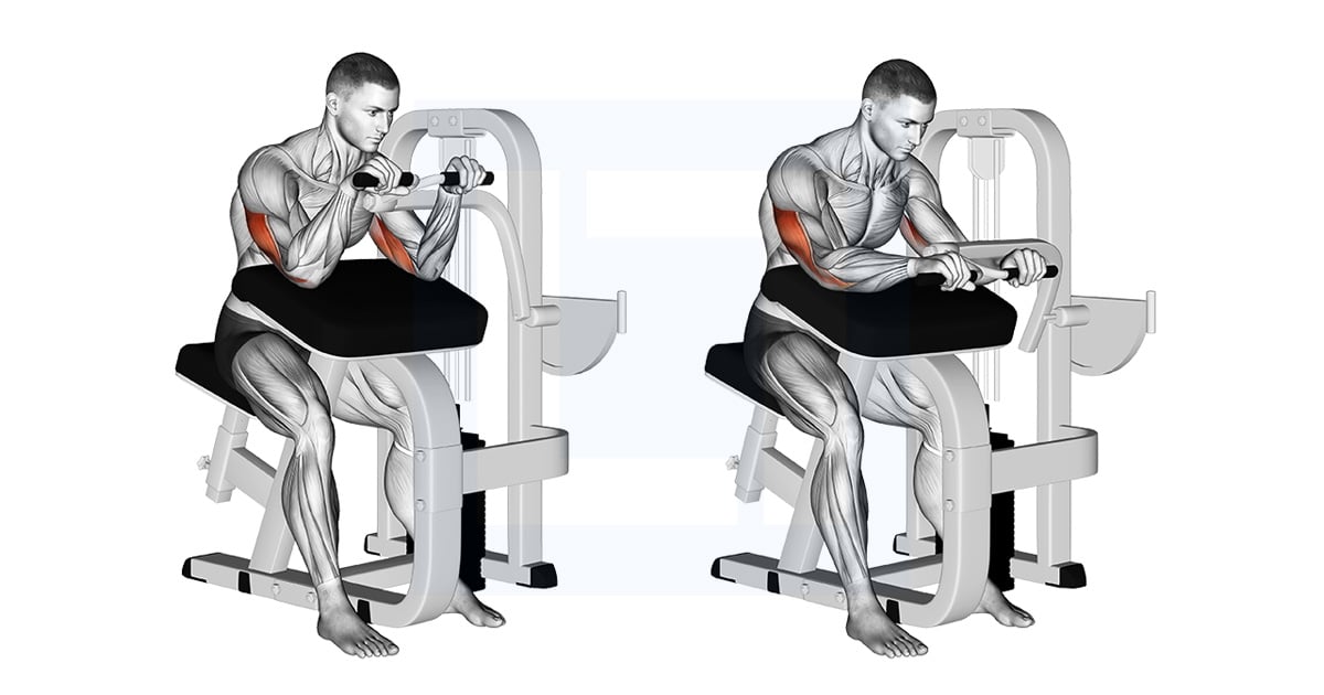 Extension Des Triceps À Levier