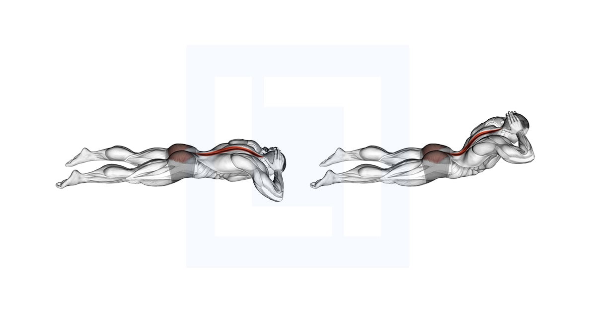 Allongé Floor Hyperextension
