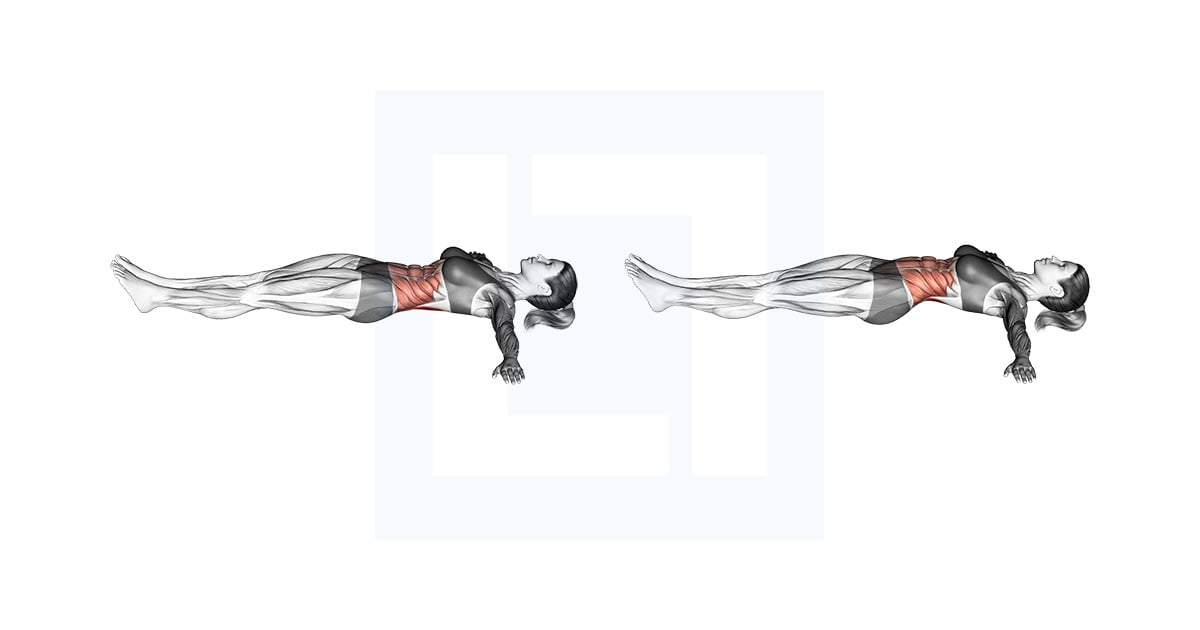 Allongé Lower Back Stretch