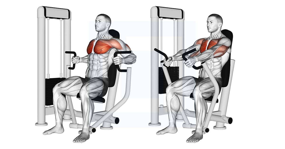 Machine Inner Chest Développé