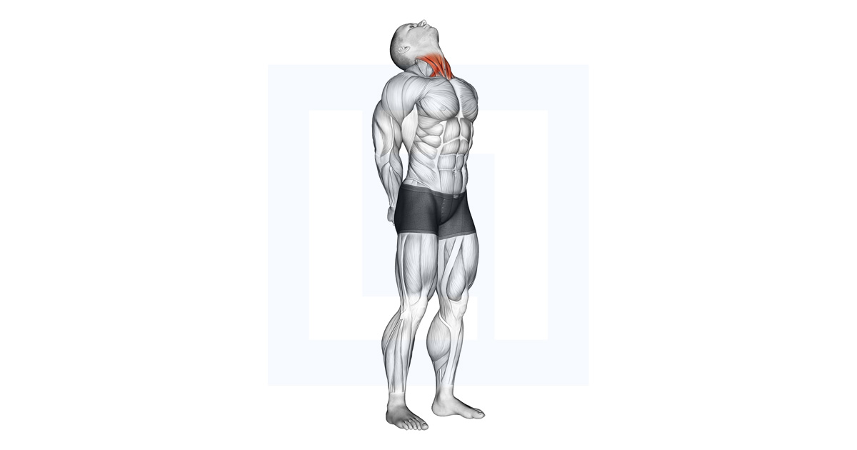 Neck Extension Stretch