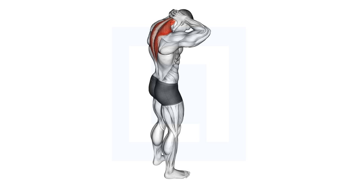 Neck Extensor Stretch