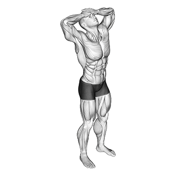 Neck Flexor Stretch