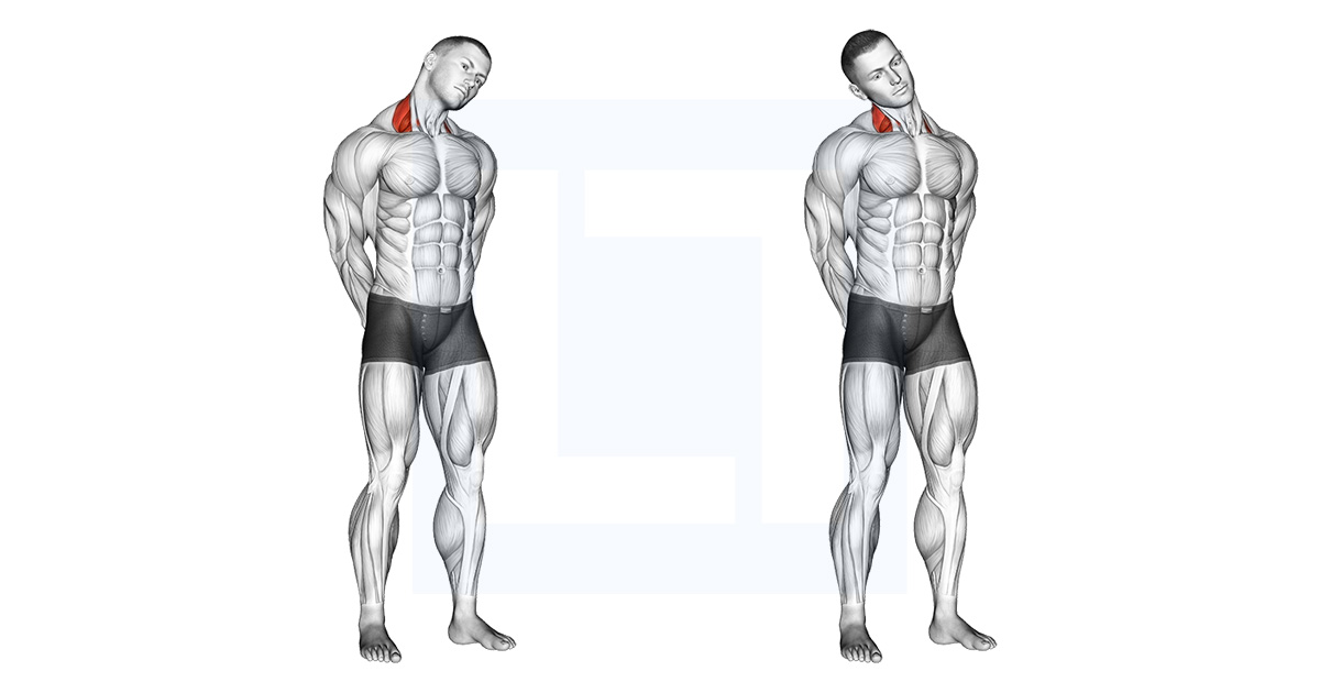 Neck Side Stretch
