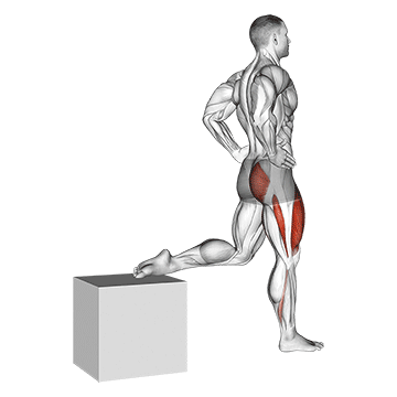 Squat une jambe