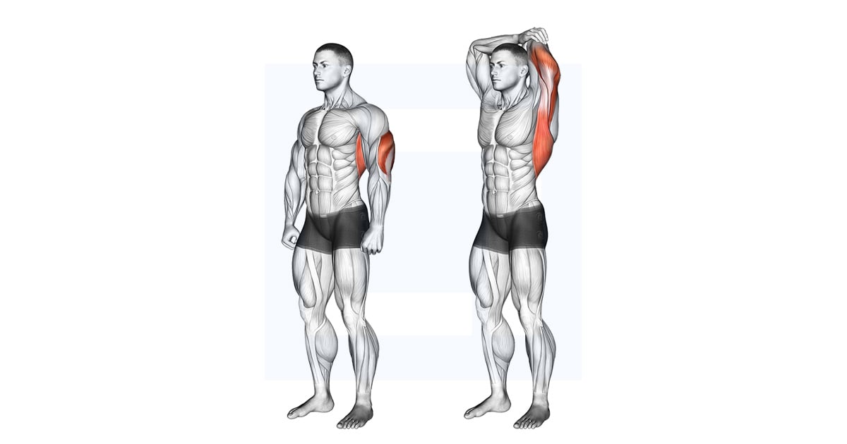 Overhead Triceps Stretch