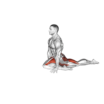 Pigeon Hip Stretch