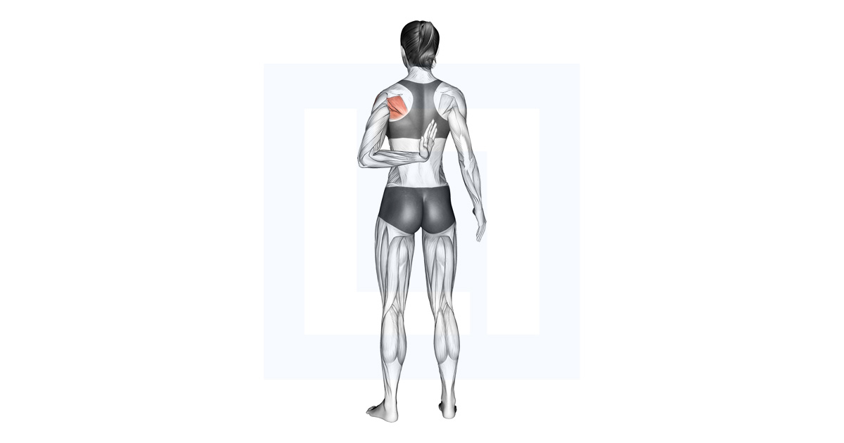 Reaching Up Shoulder Stretch