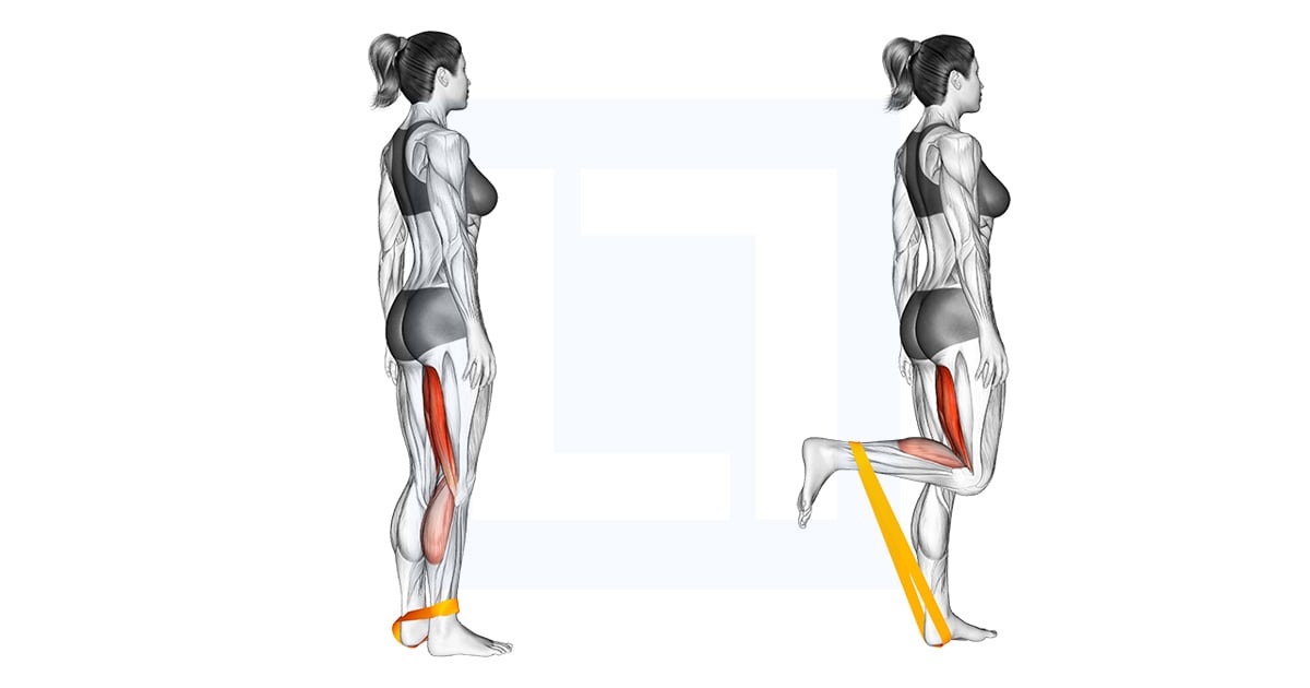 Bande élastique Leg Curl