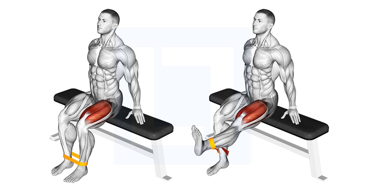 Bande élastique Leg extension