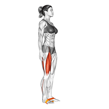 Bande élastique Leg Lift