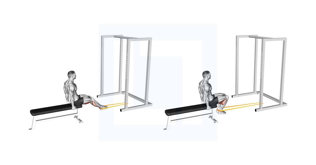 Bande élastique Leg curl assis