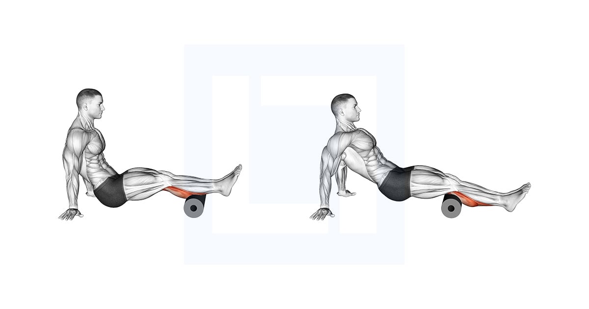 Roll Calves