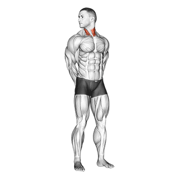 Rotating Neck Stretch