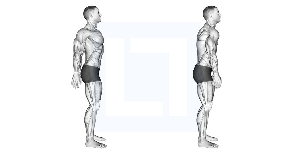 Scapula Retraction Protraction