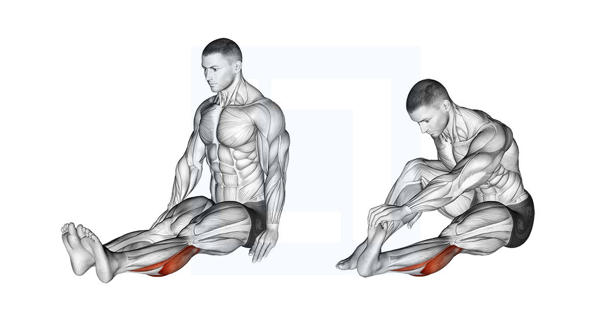 Assis Calf Stretch