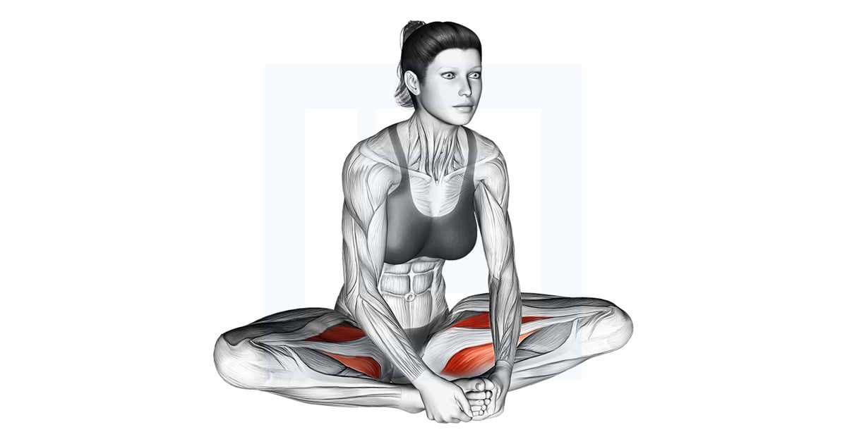 Assis Groin Stretch
