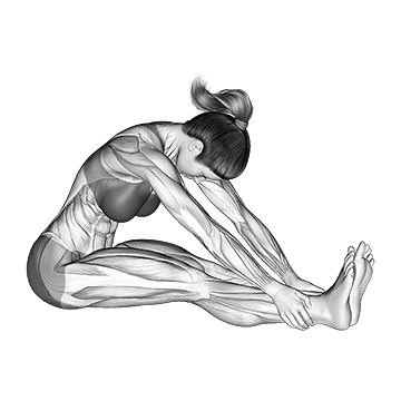 Assis Knee Flexor Stretch