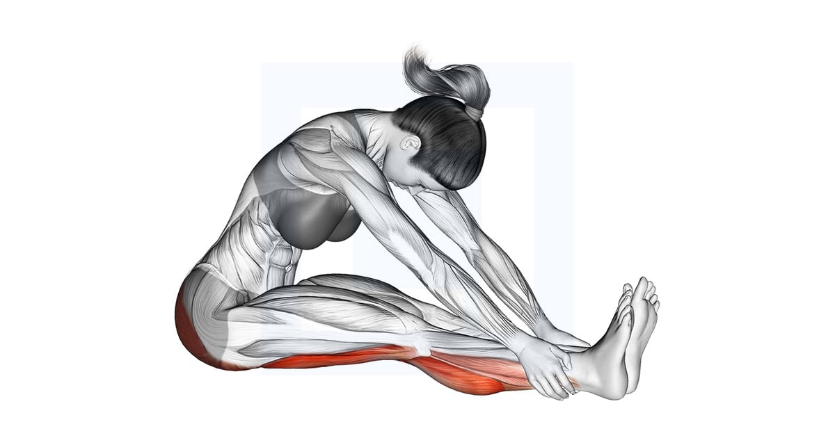 assis Knee Flexor Étirement