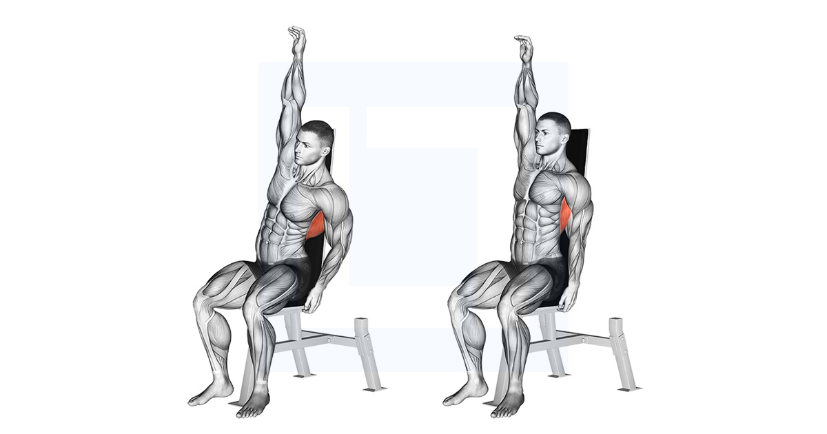 Assis Lower Back Stretch