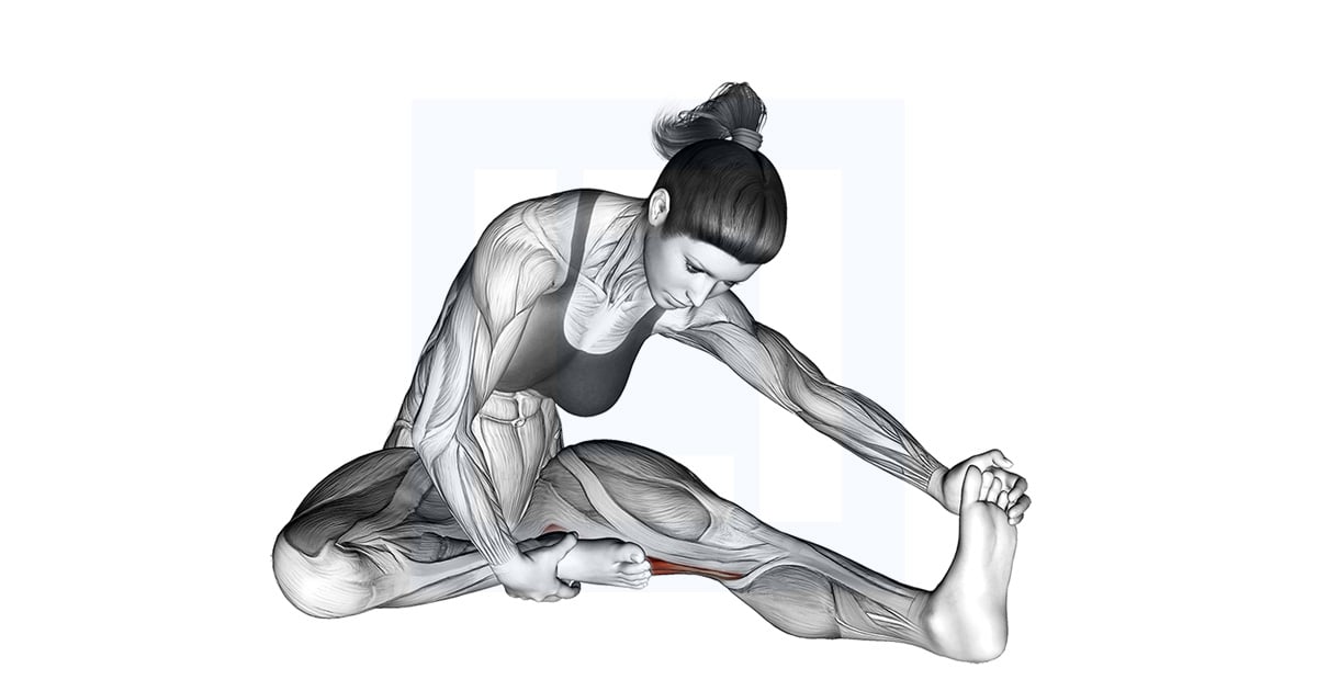 assis une jambe Hamstring Étirement