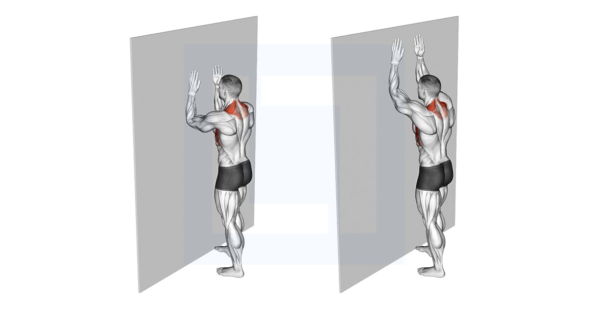 Serratus Wall Slide