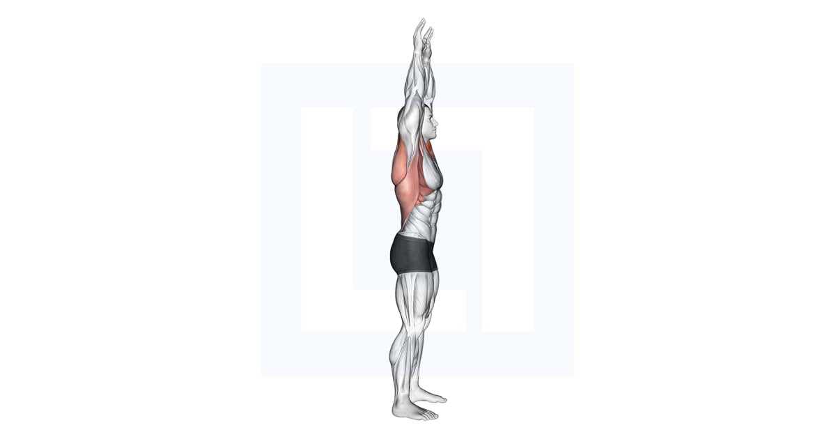 Shoulder Backbend Stretch