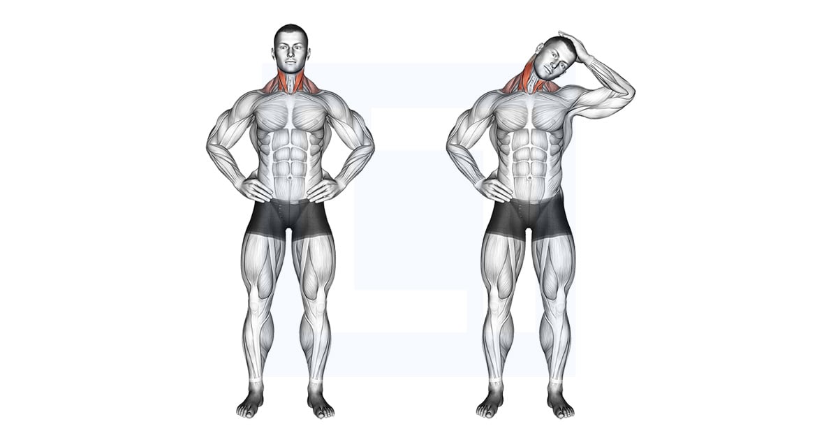Side Neck Stretch