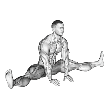Sitting Wide Leg Adductor Stretch