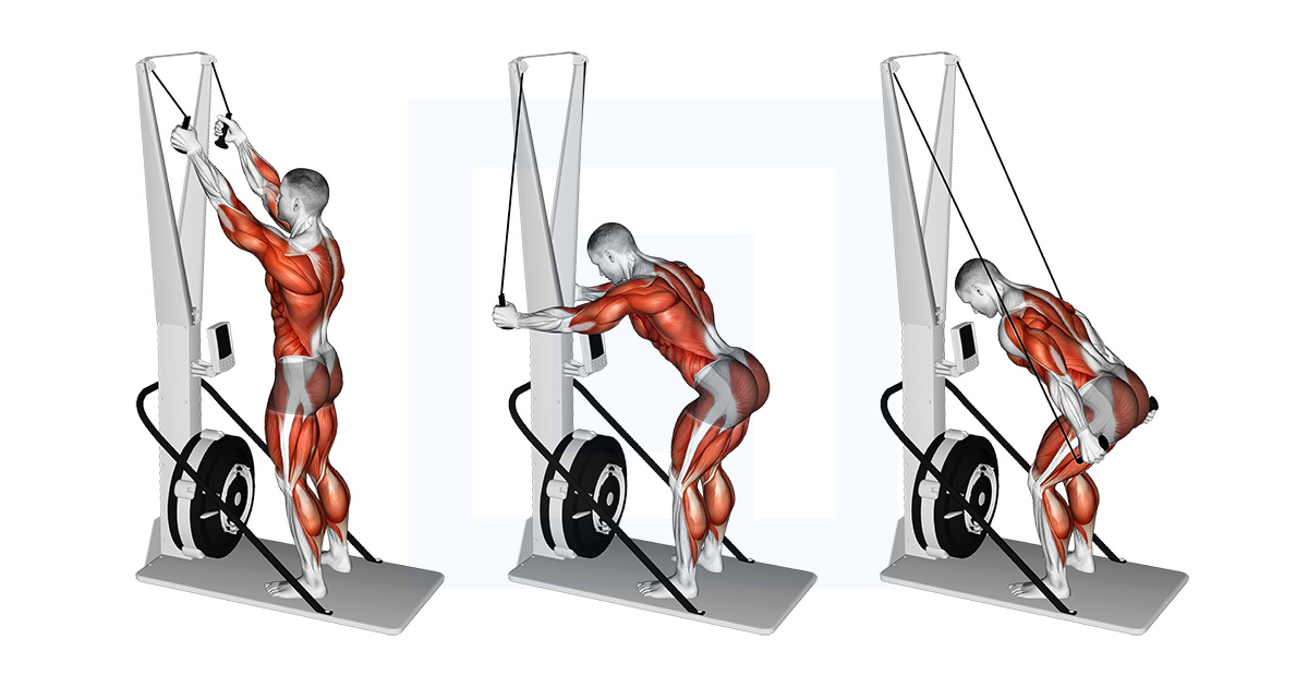 Ski Erg
