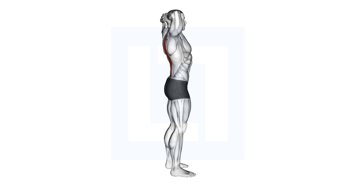 Spine Backbend Stretch