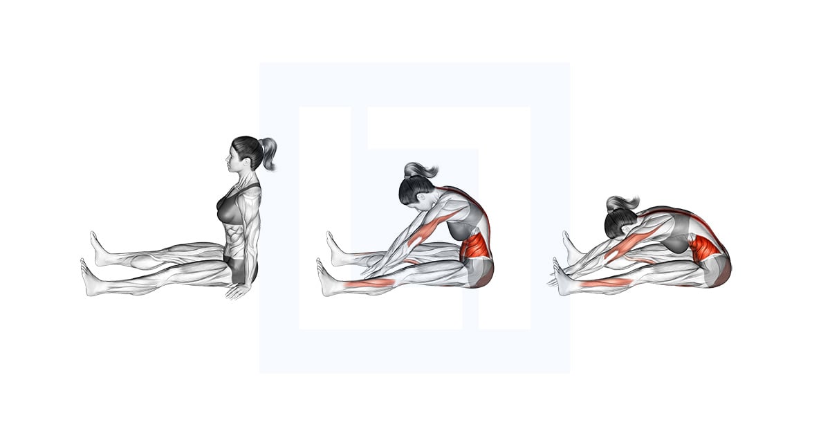 Spine Stretch Forward